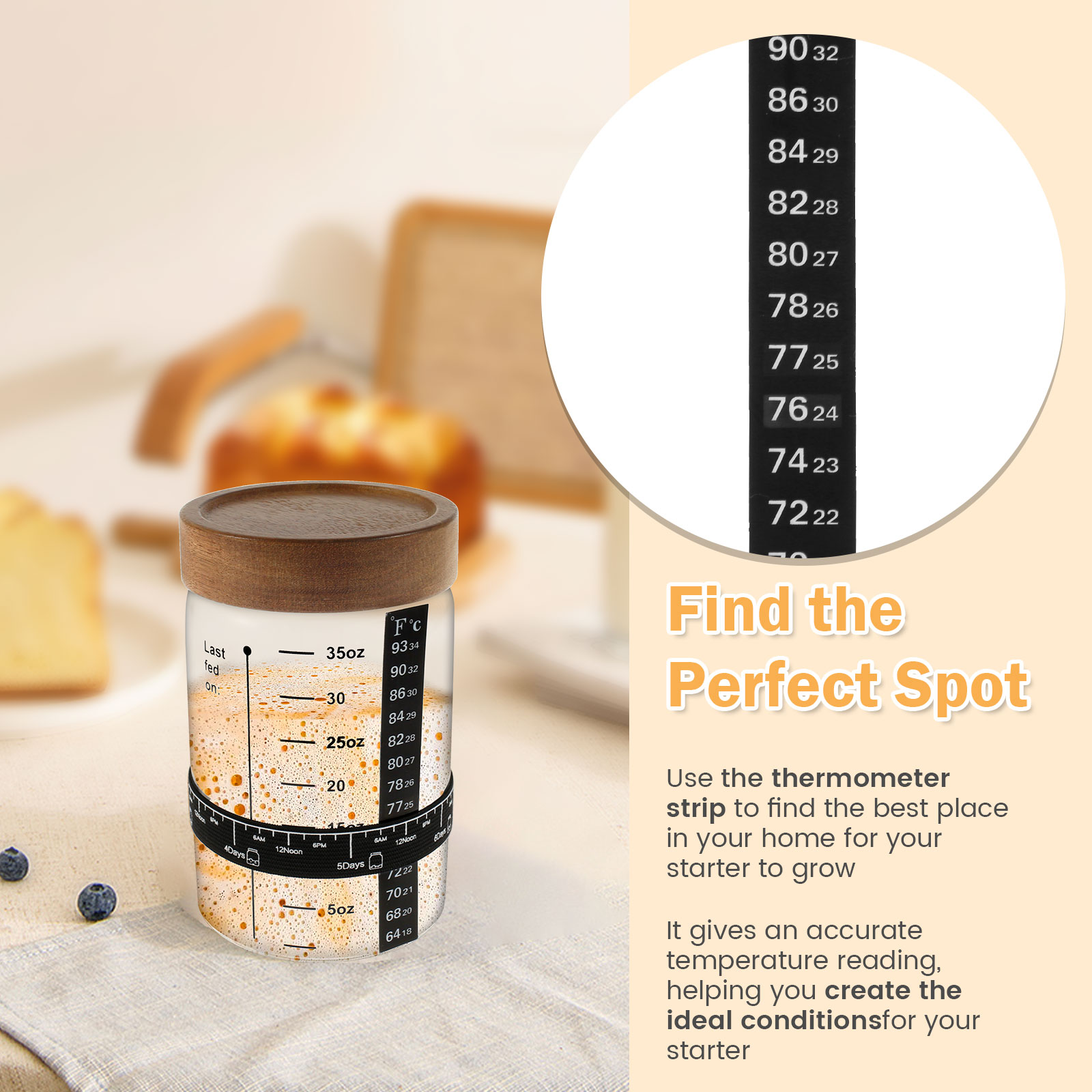 Kit de frasco inicial de massa - Fermentation Crock avaliação e preço