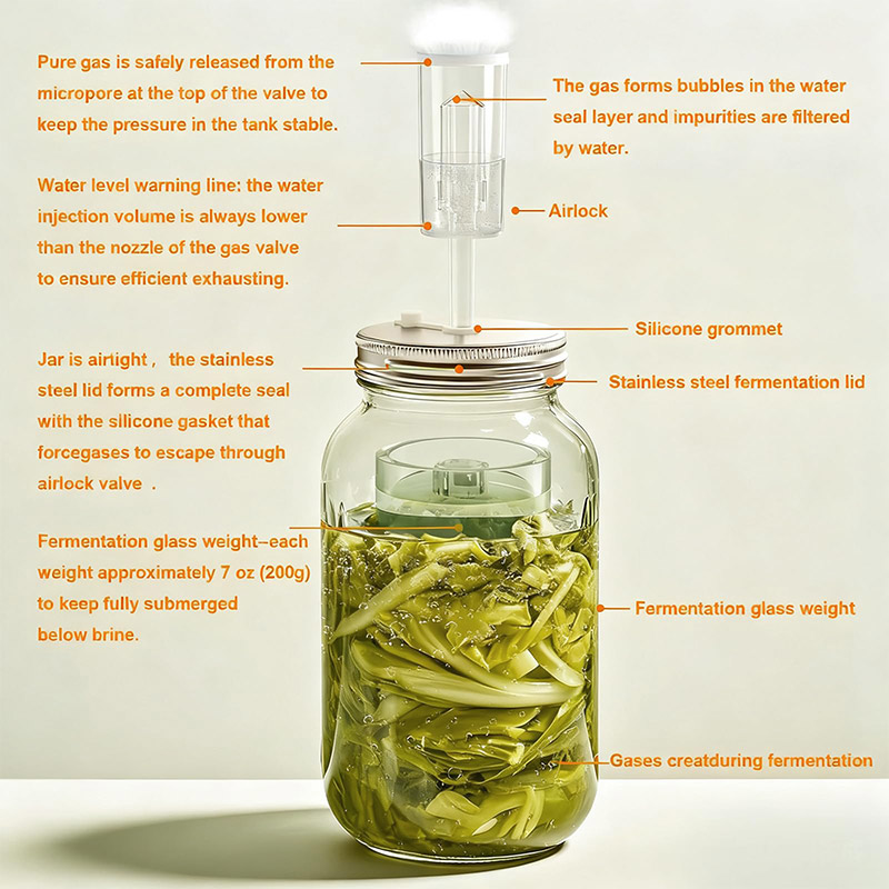 Kit de Fermentação, Conjunto d - Fermentation Crock avaliação e preço